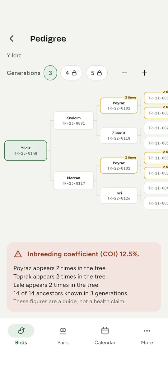 Schermata del pedigree con il coefficiente di consanguineità e quante generazioni sono note